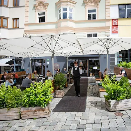 Platzhirsch *