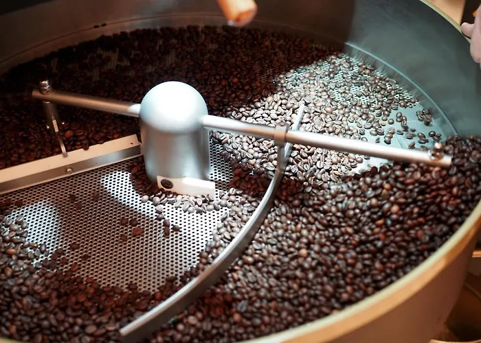 Platzhirsch * 库夫施泰因