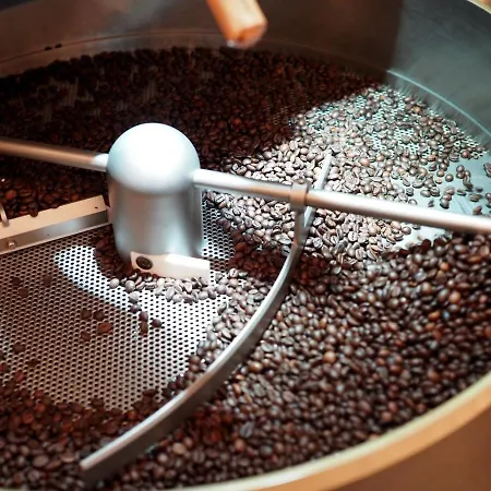 Platzhirsch * Kufstein